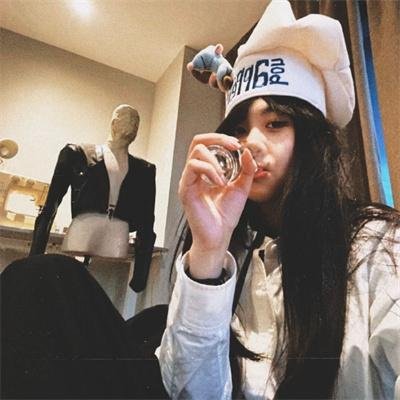 金牌贱猫:重新出击
